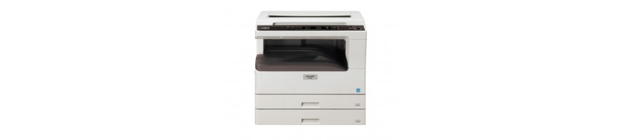 AR 5516