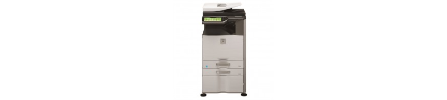 MX 2610